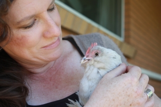 Dot and myself having a cuddle. She is the most passive and friendly chook we have at the ripe old age of nearly 10.