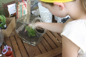 There are so many possible gardening, nature, plant growing activities and terrariums are making a comeback.